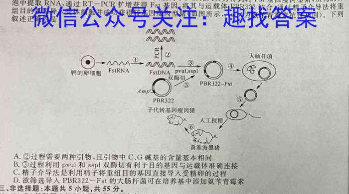 辽宁省2024年锦州市普通高中高三质量检测数学