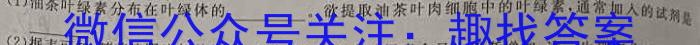 2023年中考密卷·临考模拟卷（二）文理 数学