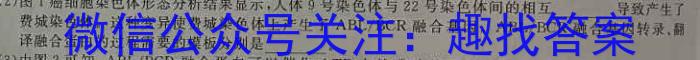 安徽省2023年中考适应性检测（二）数学