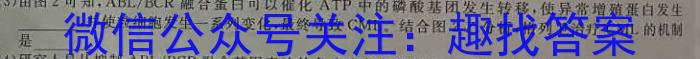 湖北省天门市2024年高三五月适应性考试数学