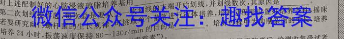 皖江名校联盟2023-2024学年第二学期高二5月阶段性大联考数学