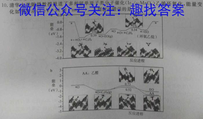 江西省中考总复*冲刺卷（四）化学