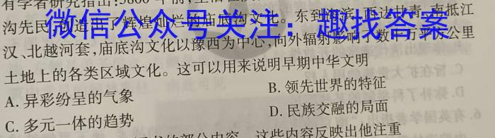 2023年高三学业质量检测 新高考模拟(二)历史试卷