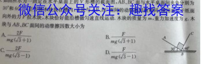 江西省2025届七年级《学业测评》分段训练（八）q物理