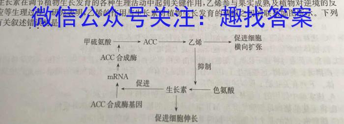 湖南天壹名校联盟·2024年上学期高一3月大联考数学