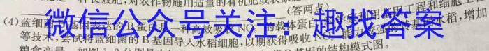 安徽省滁州市2024届天长市实验中学教育集团九年级课程质量检测数学