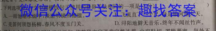 2023年陕西省初中学业水平考试·模拟联考卷A语文