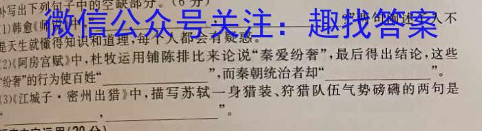 文博志鸿 2023年河南省普通高中招生考试模拟试卷(压轴一)语文