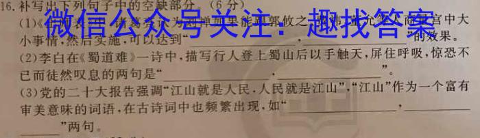 2023年安徽省初中学业水平考试冲刺试卷（二）语文