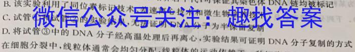 河南省2024年中考导航冲刺押题卷(八)8数学