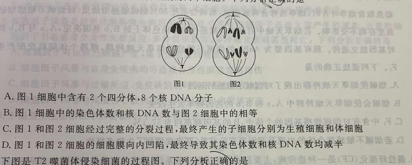 衡水金卷先享题2023-2024高三一轮复习40分钟单元检测卷(广西专版)(2)数学考试