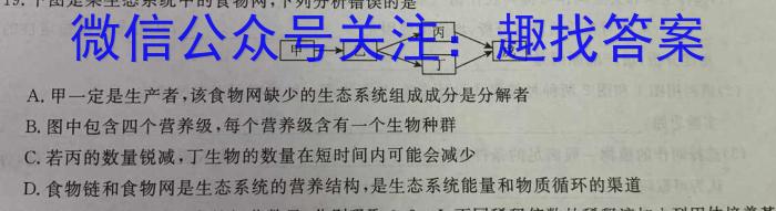 全国大联考2024届高三全国第一次联考 1LK-N数学