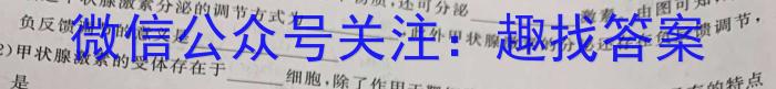 江西省上饶市信州区2023-2024学年度第二学期七年级学业质量评价数学