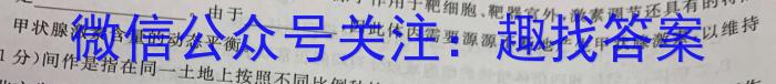 安徽省合肥市某县2023-2024学年度九年级第一次教学质量检测数学