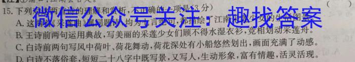 山西省2023届九年级考前适应性评估（三）（8LR）语文