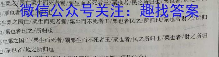 2023届全国百万联考老高考高三5月联考(6002C)语文