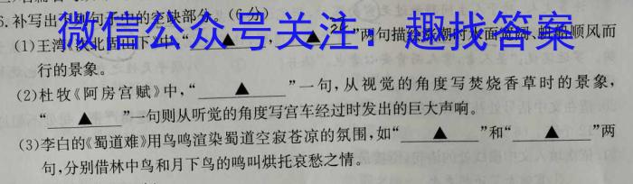 陕西省西安市2023年九年级教学质量检测B（△）语文