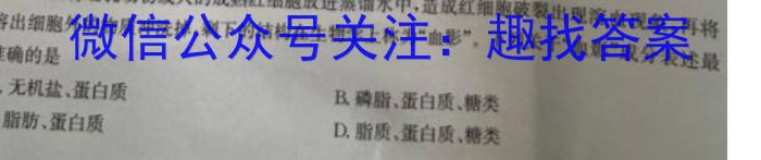 山西省九年级2023-2024学年新课标闯关卷（二）SHX文理 数学