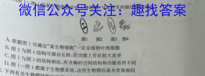 2023-2024学年度第二学期高一6月月考考试检测试卷(241919Z)数学