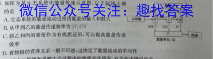 2024届云南省高二期末模拟考试卷(24-272B)数学