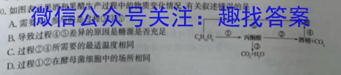 安徽省泗县2023-2024学年度第二学期七年级期中质量检测数学