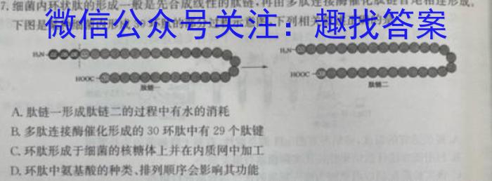 河池市2023年春季学期高一年级期末教学质量检测数学