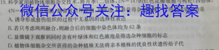 2024届湖南省普通高中学业水平合格性考试测试模拟卷(四)4数学