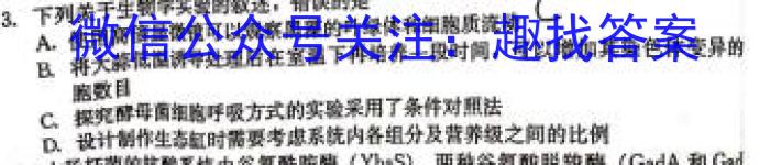 河南省金科·新未来2023年秋季学期高一年级12月质量检测数学