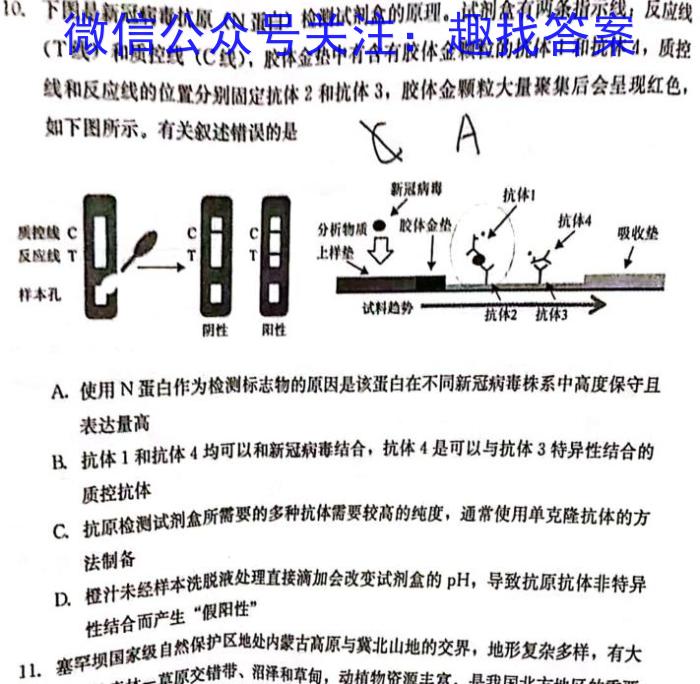 江西智学联盟体2024年高三年级第一次联考（9月）数学