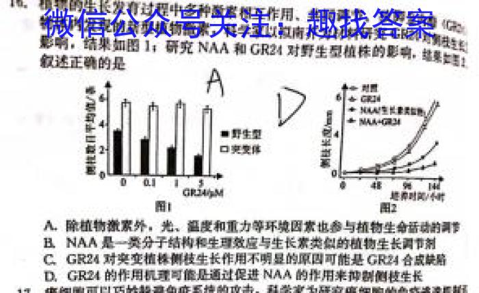 中考真题 2024年河南省初中学业水平考试数学