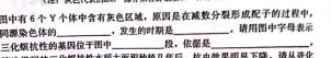 河南省2022~2023学年新乡市高二期末(下)测试(23-550B)生物
