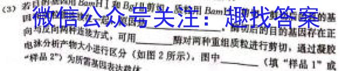 2023年河北省初中毕业生升学文化课考试 中考母题密卷(一)数学