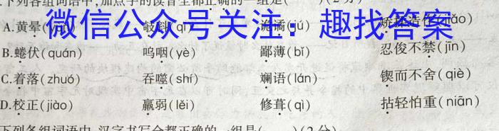 2022-2023学年度下学期高三年级第五次综合素养评价(HZ)语文