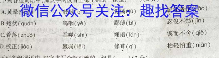 2023年普通高等学校招生全国统一考试(银川一中第四次模拟考试)语文