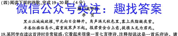 智慧上进 2022-2023高三5月高考适应性大练兵联考语文