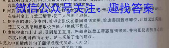 安徽省芜湖市无为市2022-2023学年度八年级第二学期期末学业发展水平检测语文