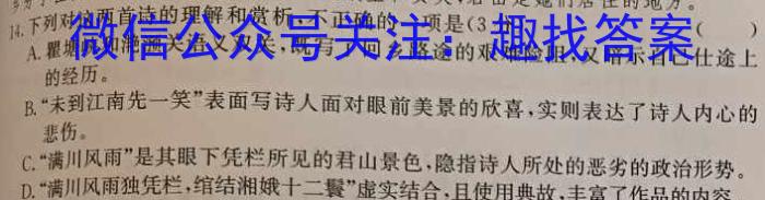 2023届陕西省九年级教学质量检测(Θ)语文