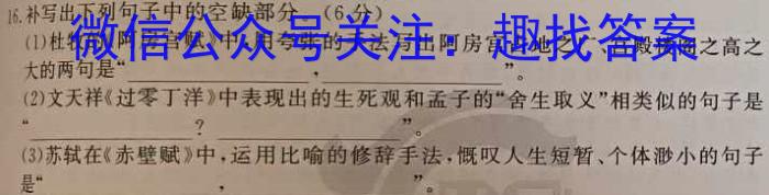 中考模拟压轴系列 2023年河北省中考适应性模拟检测(夺冠一)语文