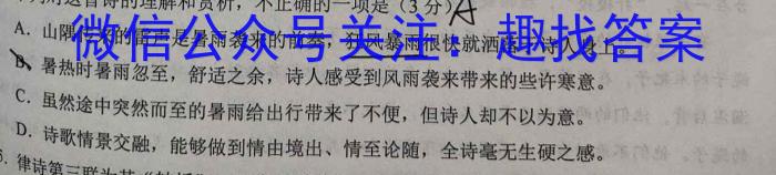 2023年岳阳县高三下学期新高考适应性测试语文
