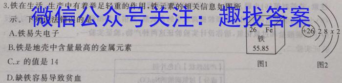 河北省邯郸市2023届高三年级保温试题化学