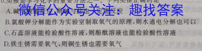 耀正文化(湖南四大名校联合编审)·2023届名校名师测评卷(九)9化学