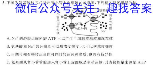 安师联盟2024年中考质量检测试卷数学