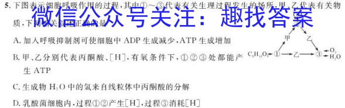 河北省高二2022-2023学年下学期科学素养评估(期末)(23716B)数学