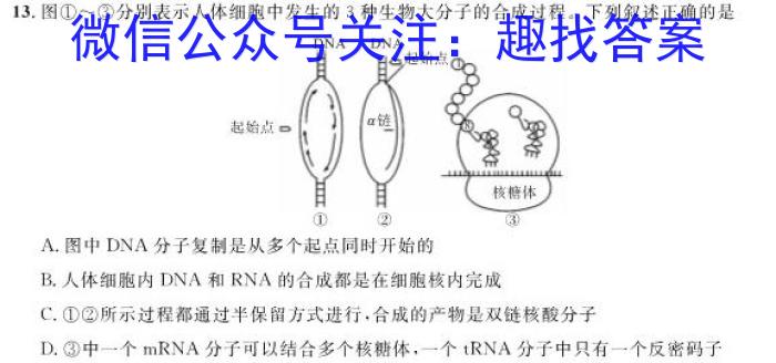 2023年秋 荆、荆、襄、宜四地七校考试联盟 高二期中联考数学