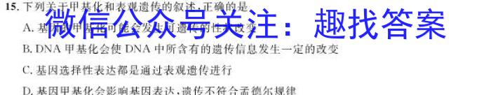 安徽省2023-2024学年九年级第二学期综合素养测评（2月）数学