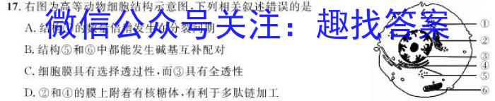 河北省2024届高三年级大数据应用调研联合测评(Ⅵ)数学