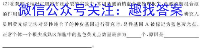 2023年安徽省中考信息押题卷(一)数学