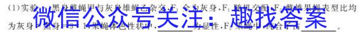 中考必刷卷·2024年名校内部卷三数学