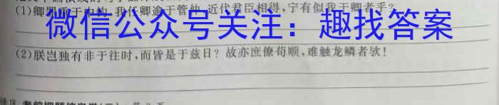 2023年葫芦岛市普通高中高三年级第二次模拟考试语文