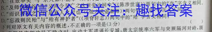 安徽省2024-2023学年八年级下学期期末综合评估（8LR-AH）语文